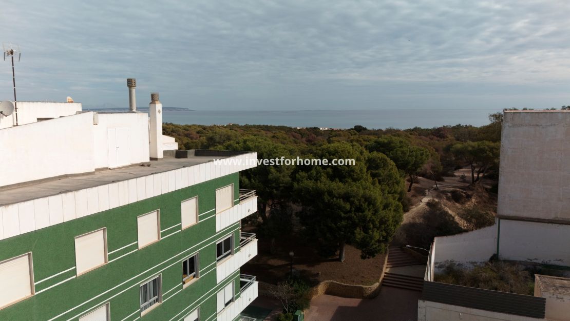 Nieuwbouw - Appartement - Guardamar del Segura