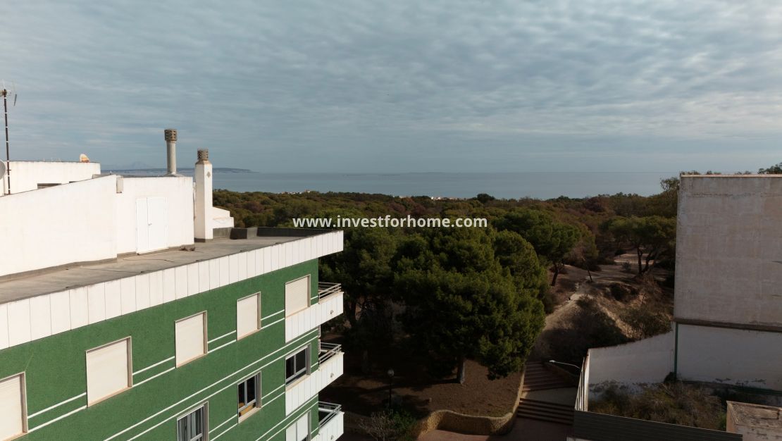 Nieuwbouw - Appartement - Guardamar del Segura