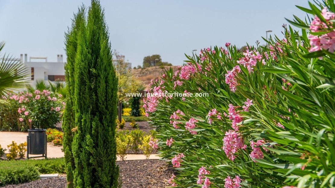 Nieuwbouw - Appartement - Orihuela Costa - Vistabella Golf