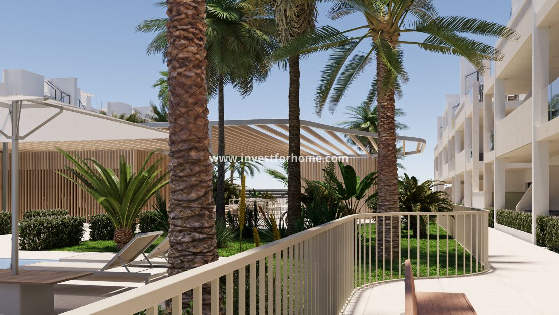 Nieuwbouw - Appartement - Torre-Pacheco