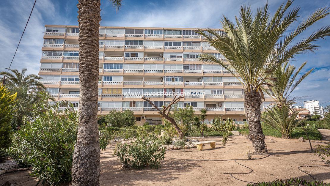 Nieuwbouw - Appartement - Torrevieja - Torrelamata - La Mata