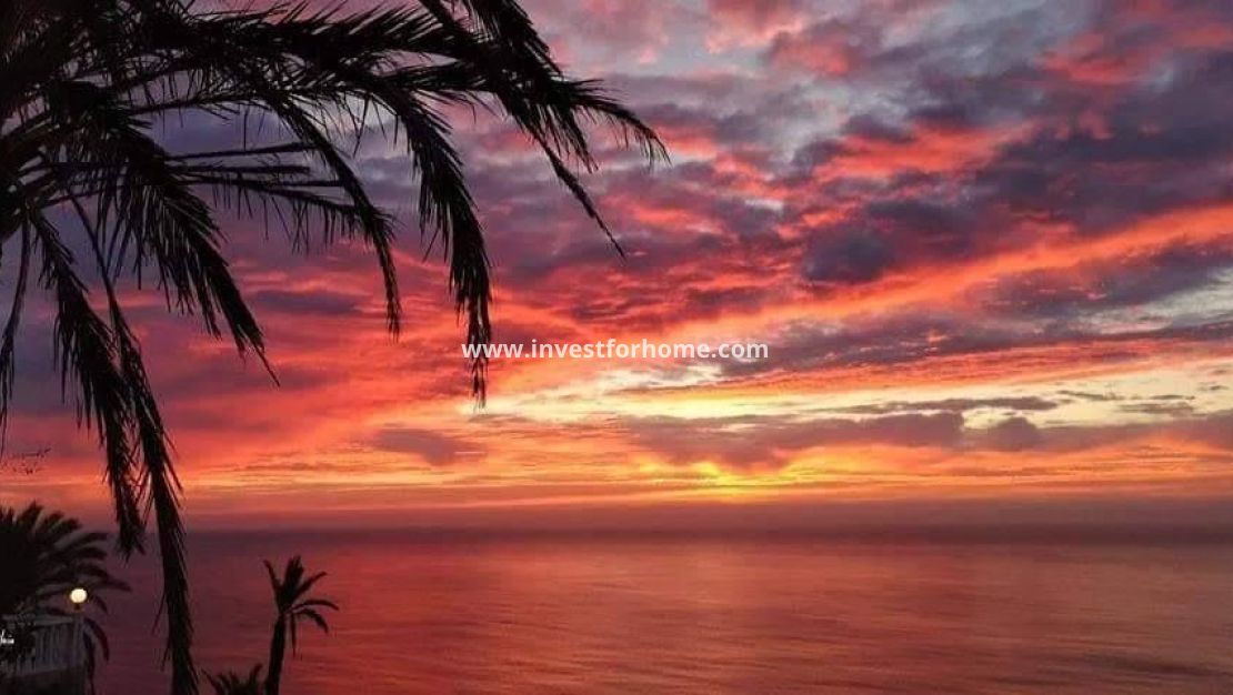 Nieuwbouw - Bungalow - Torrevieja - Altos del Sol