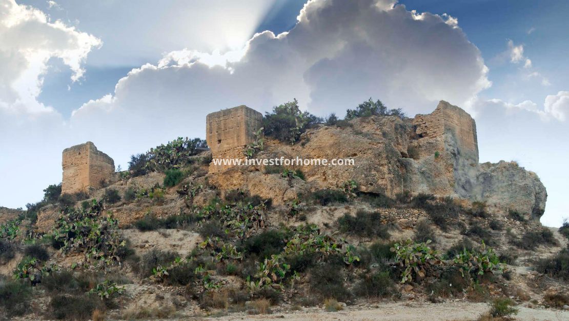 Nieuwbouw - Villa - Aspe