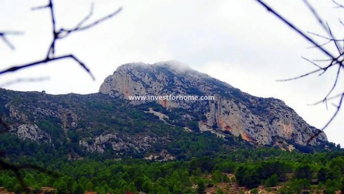 Nieuwbouw - Villa - La Romana - Batistes