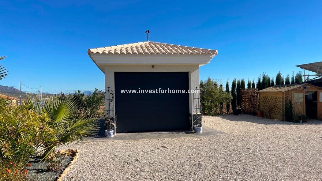 Nieuwbouw - Villa - Pinoso - Camino Del Prado