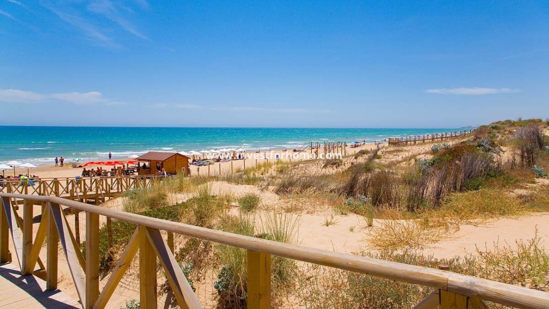 Nouvelle construction - Appartement - Guardamar del Segura - Pueblo