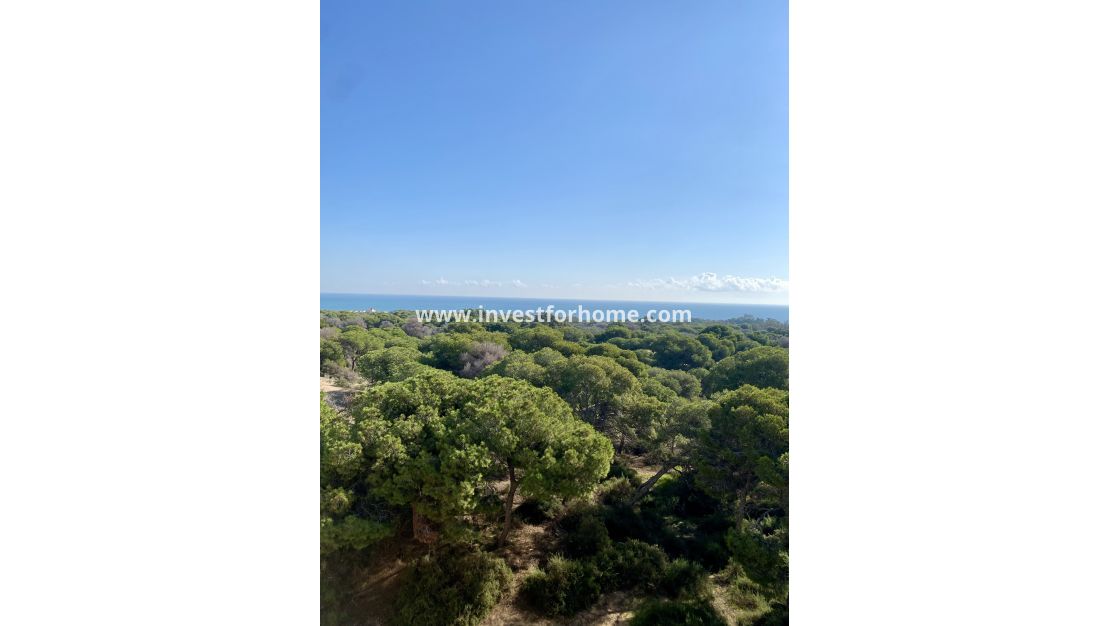 Nouvelle construction - Appartement - Guardamar del Segura