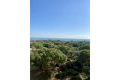 Nouvelle construction - Appartement - Guardamar del Segura