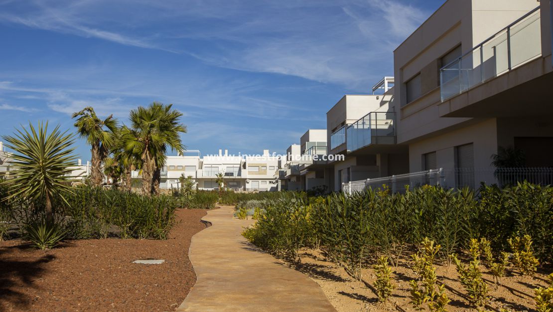 Nouvelle construction - Appartement - Los Montesinos - Vistabella Golf