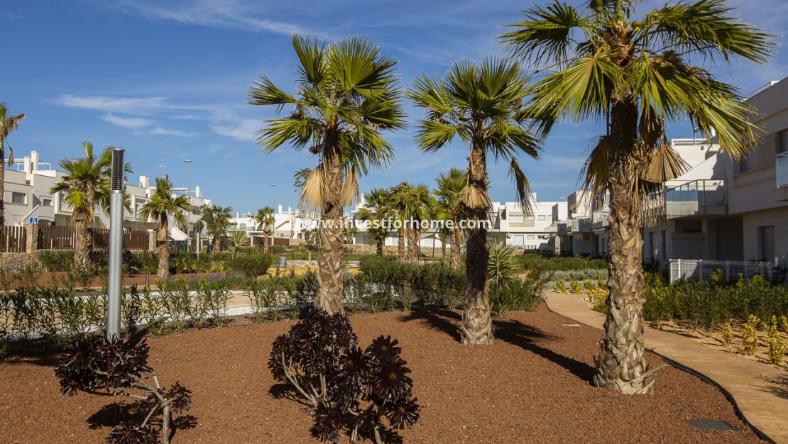 Nouvelle construction - Appartement - Los Montesinos - Vistabella Golf