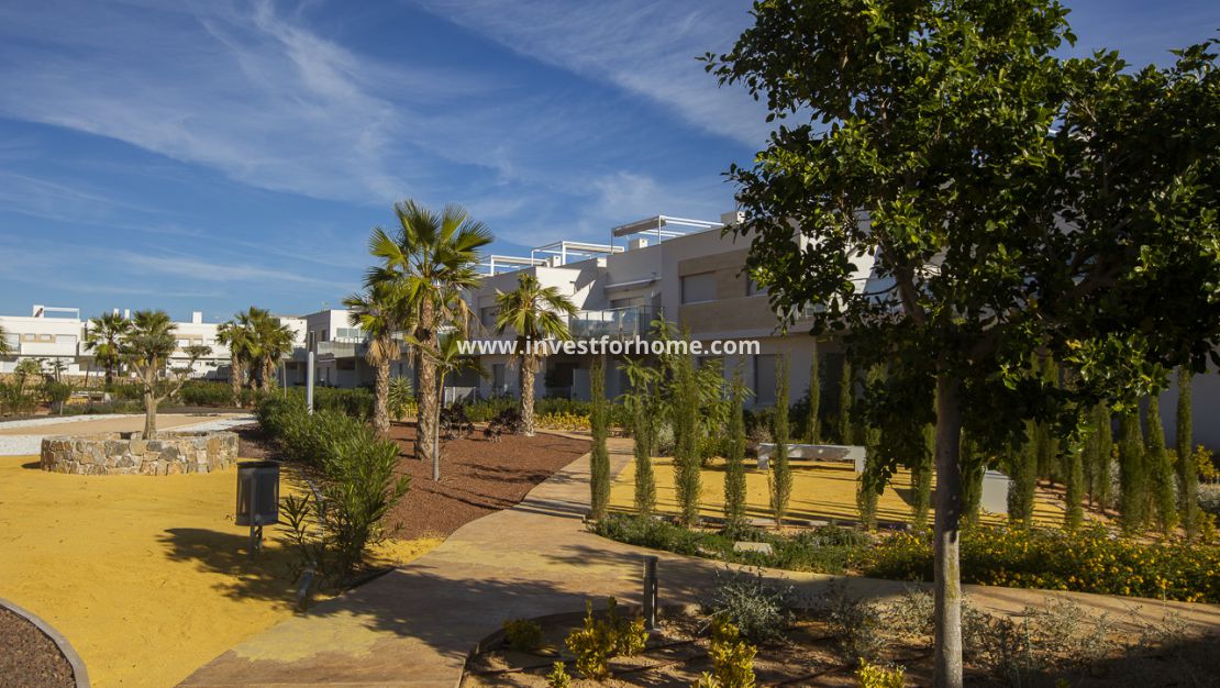Nouvelle construction - Appartement - Los Montesinos - Vistabella Golf