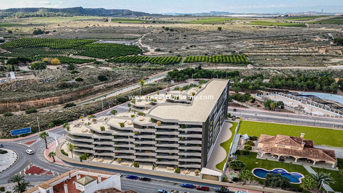 Nouvelle construction - Appartement - San Miguel de Salinas
