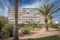 Nouvelle construction - Appartement - Torrevieja - Torrelamata - La Mata
