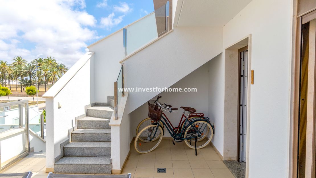Nouvelle construction - Bungalow - San Pedro del Pinatar - San Pedro del Pinatar pueblo