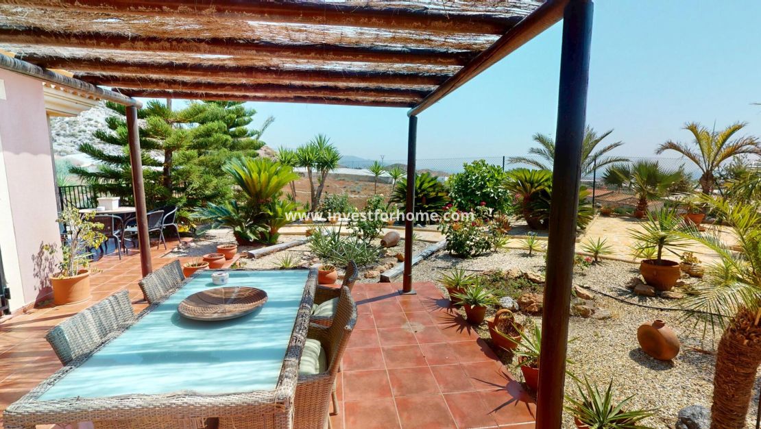 Nouvelle construction - detached - Aguilas - Águilas