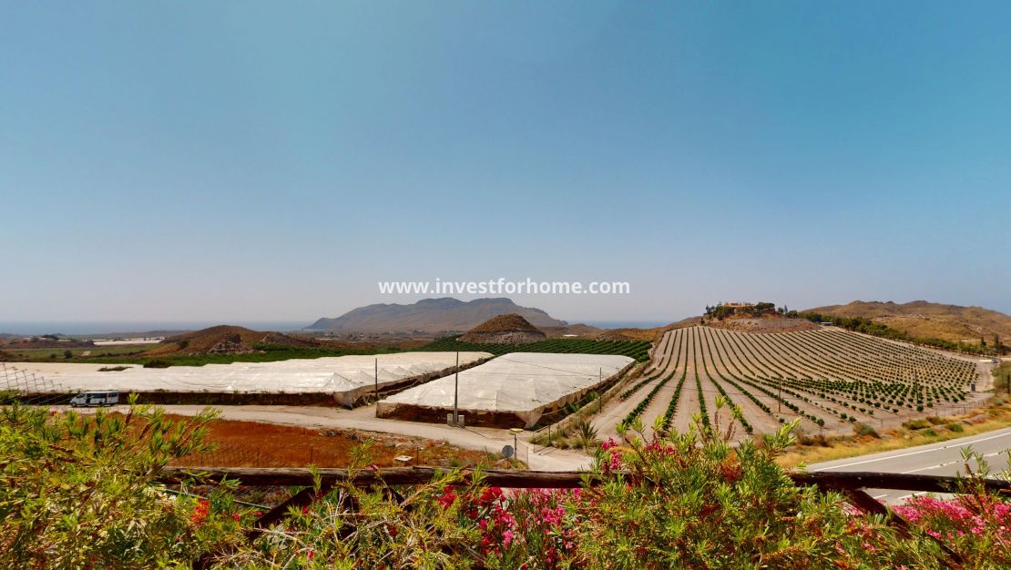 Nouvelle construction - detached - Aguilas - Águilas