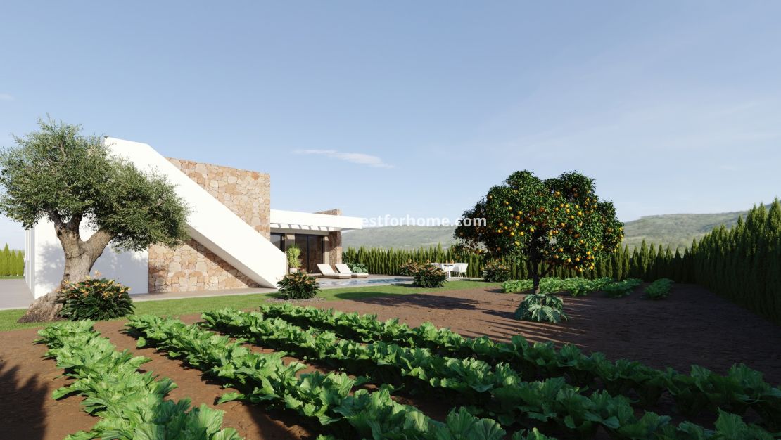 Nouvelle construction - detached - Murcia