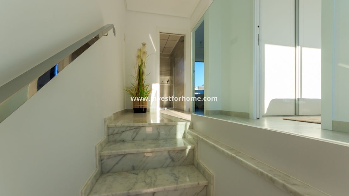 Nouvelle construction - Maison - Pilar de la Horadada