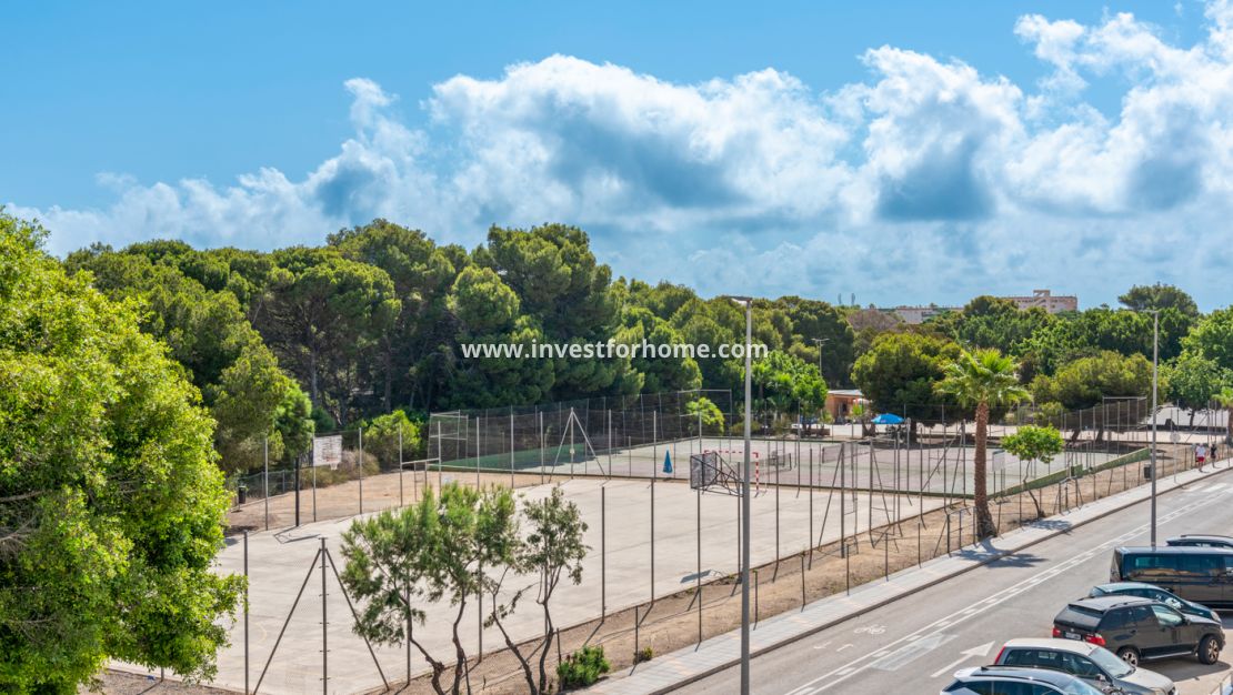 Nouvelle construction - Maison - Pilar de la Horadada