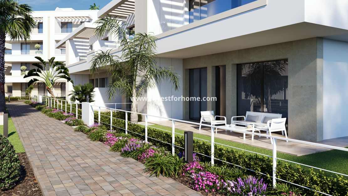 Nouvelle construction - Maison - Santa Rosalia - Santa Rosalía