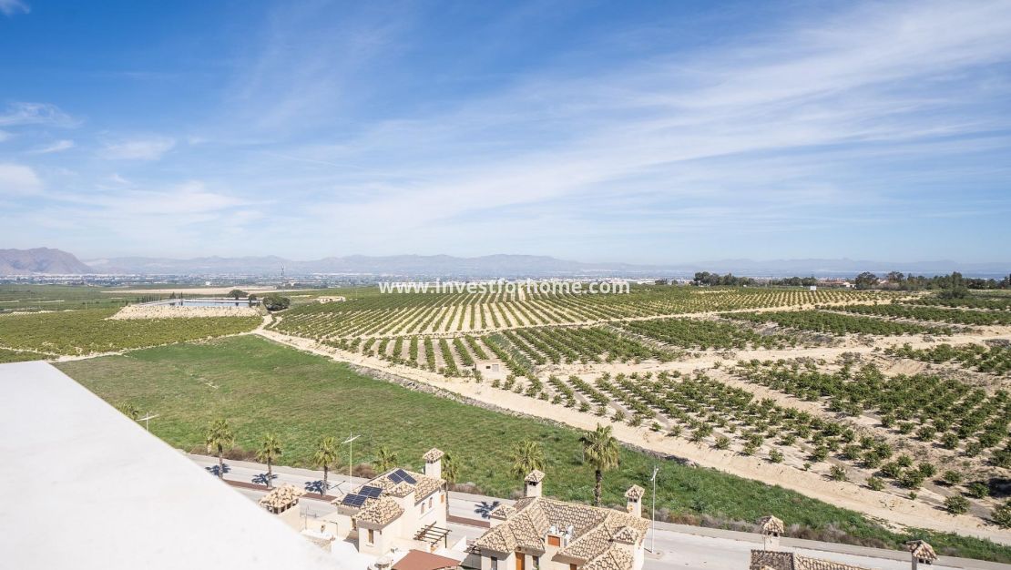 Nouvelle construction - Villa - Algorfa - La Finca Golf