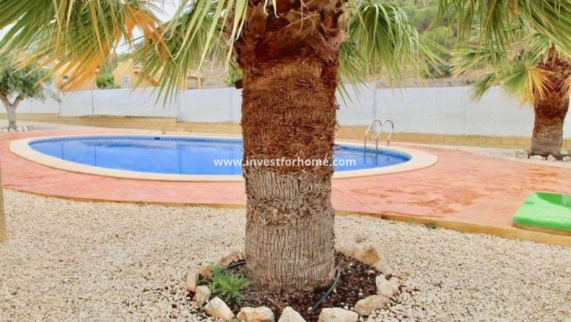 Nouvelle construction - Villa - La Romana - Villas de la Romana