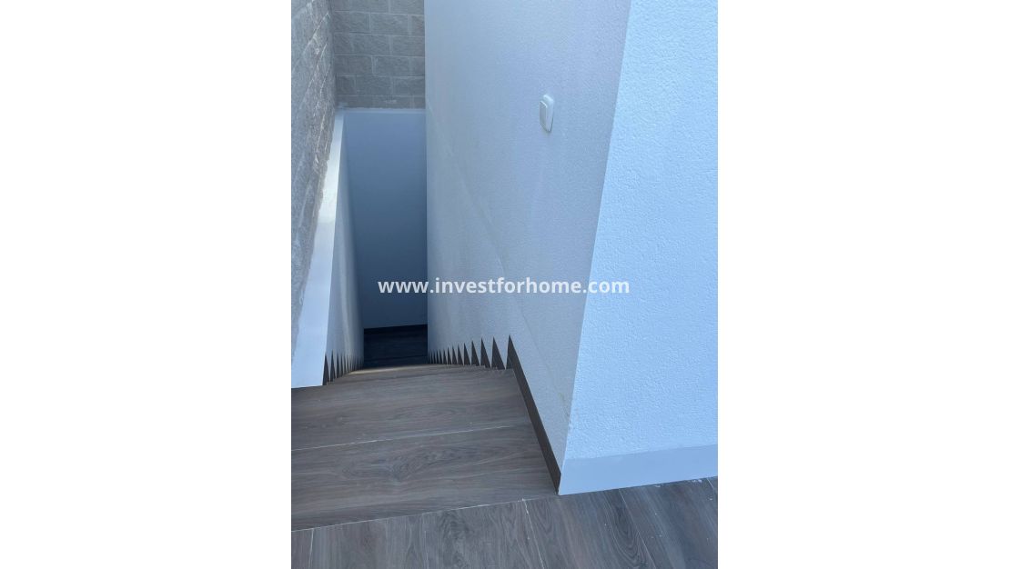 Nouvelle construction - Villa - Orihuela Costa - Vistabella