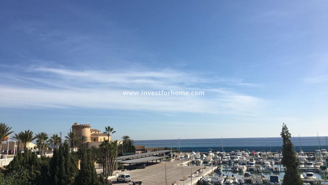 Nouvelle construction - Villa - Pilar de la Horadada - La Torre de La Horadada