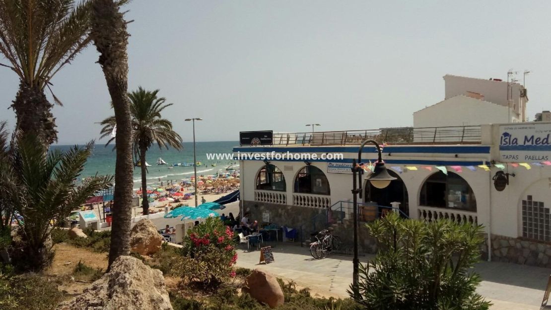 Nouvelle construction - Villa - Pilar de la Horadada - Riomar