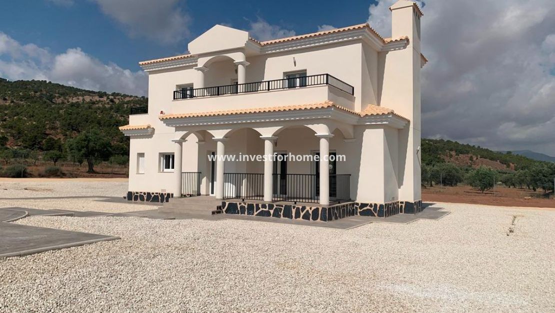 Nouvelle construction - Villa - Pinoso - Camino Del Prado