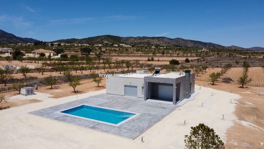 Nouvelle construction - Villa - Pinoso - Camino Del Prado