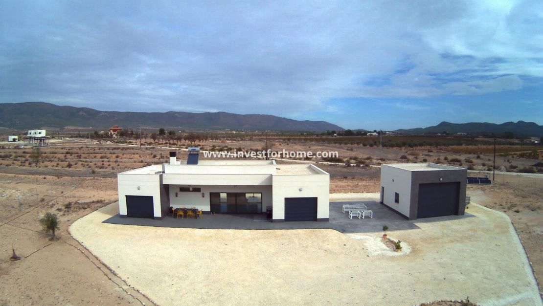 Nouvelle construction - Villa - Pinoso - Camino Del Prado