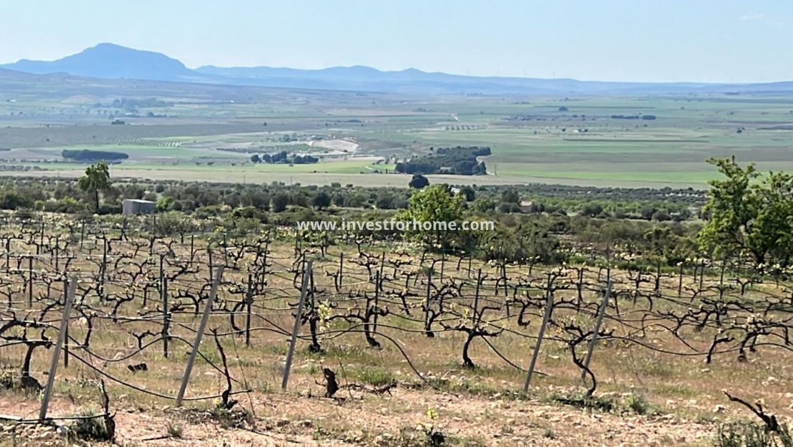 Nouvelle construction - Villa - Yecla