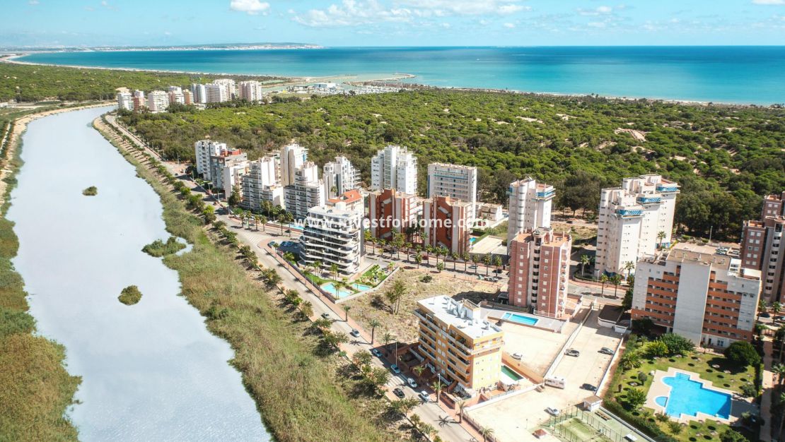 Nueva construcción - Apartamento - Guardamar del Segura - Puerto