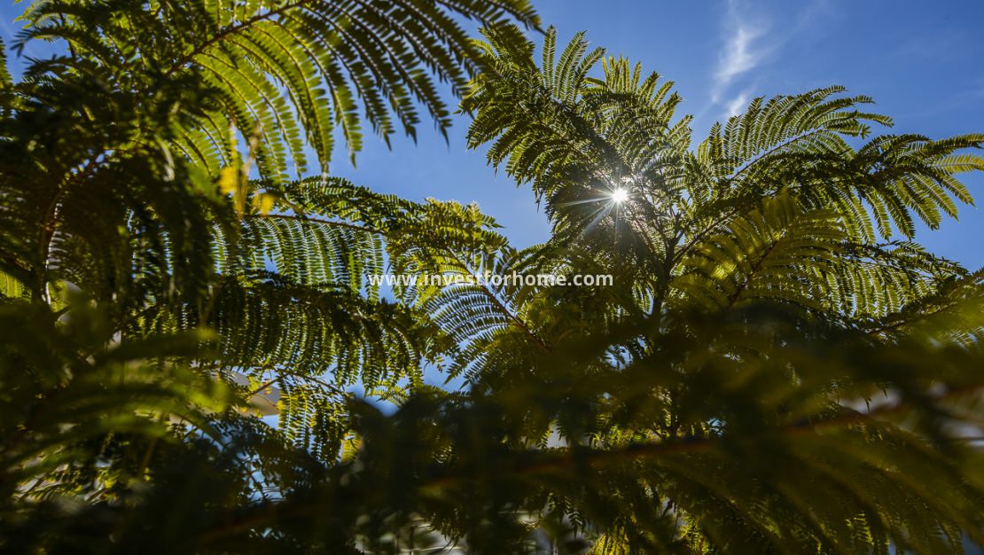 Nueva construcción - Apartamento - Los Montesinos - Vistabella Golf