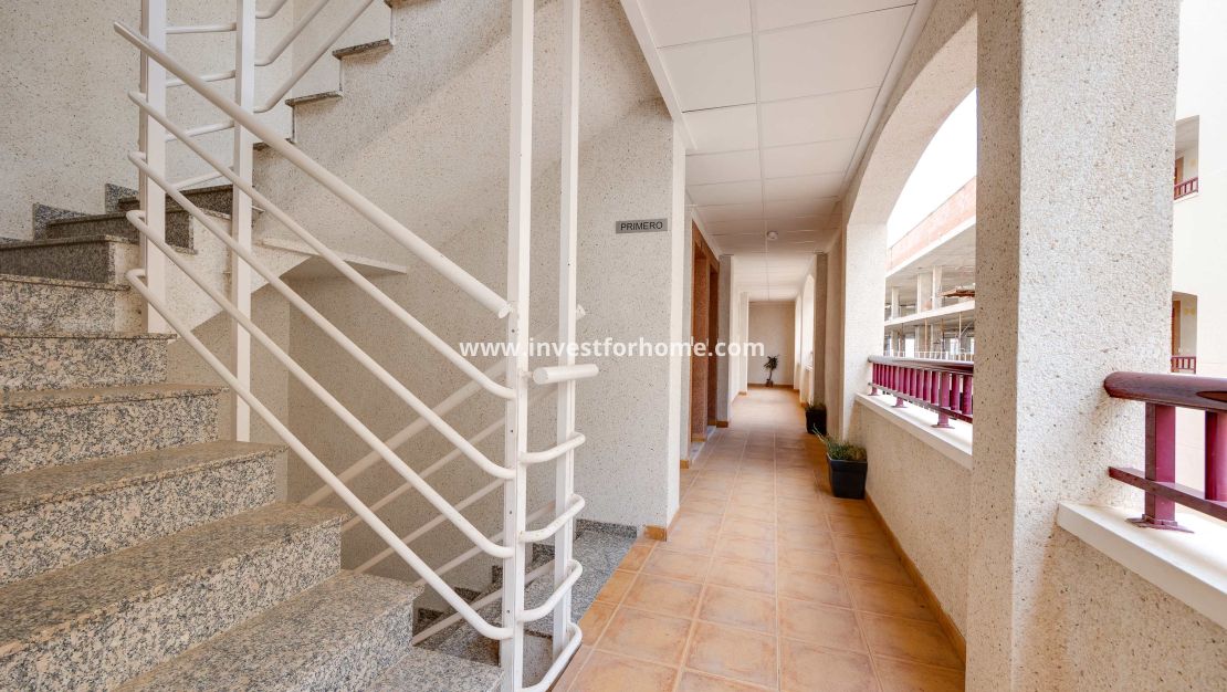 Nueva construcción - Apartamento - San Fulgencio