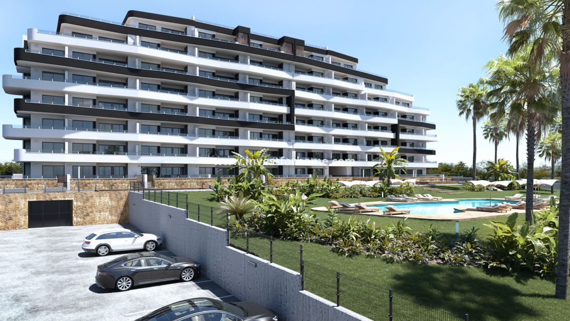 Nueva construcción - Apartamento - San Miguel de Salinas