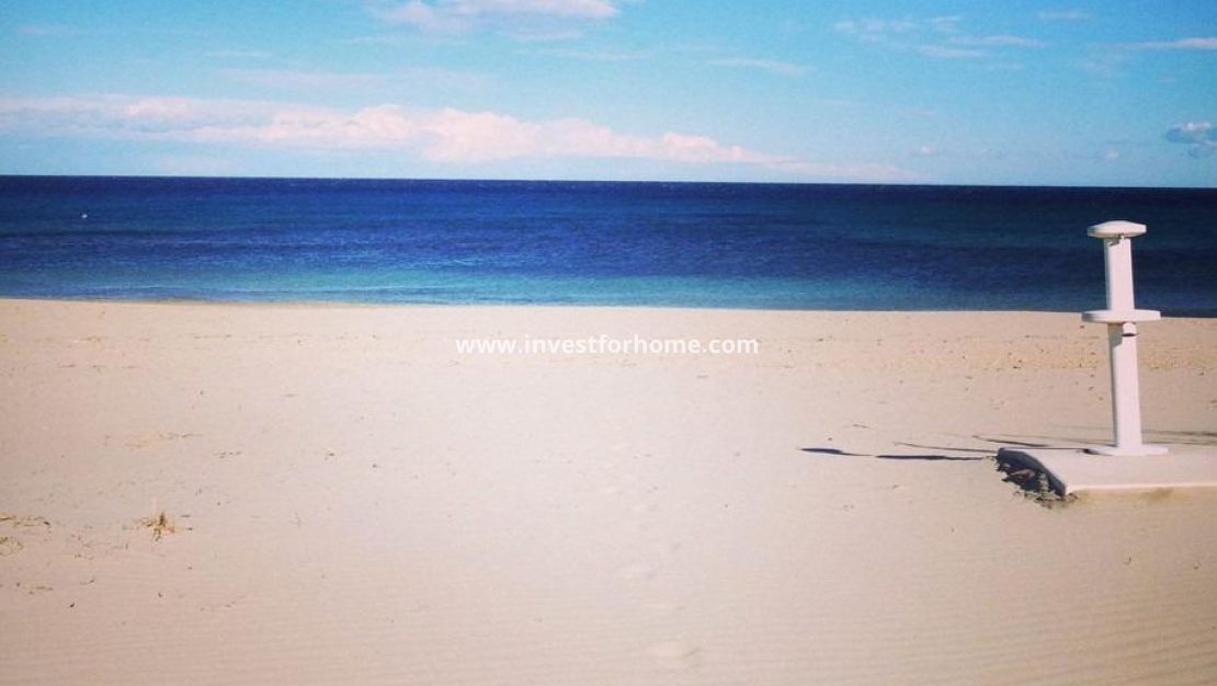 Nueva construcción - Bungalow - Pilar de la Horadada - Parque Ramon eugenio Escudero