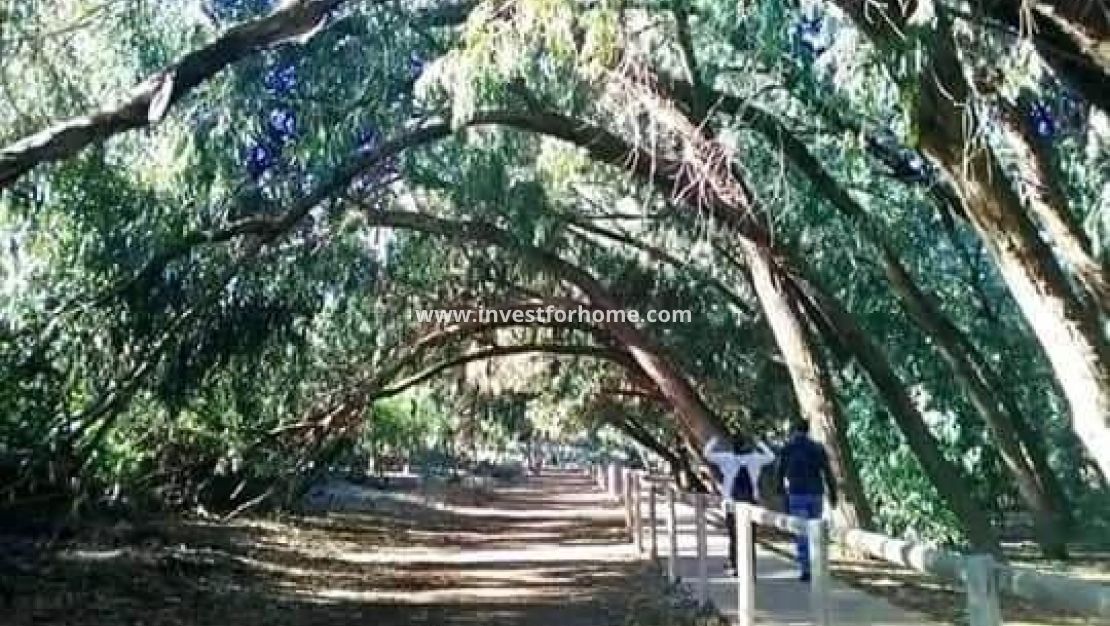 Nueva construcción - Bungalow - Torrevieja - Altos del Sol