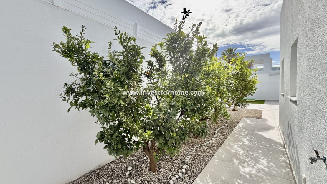 Nueva construcción - Casa - Benijofar