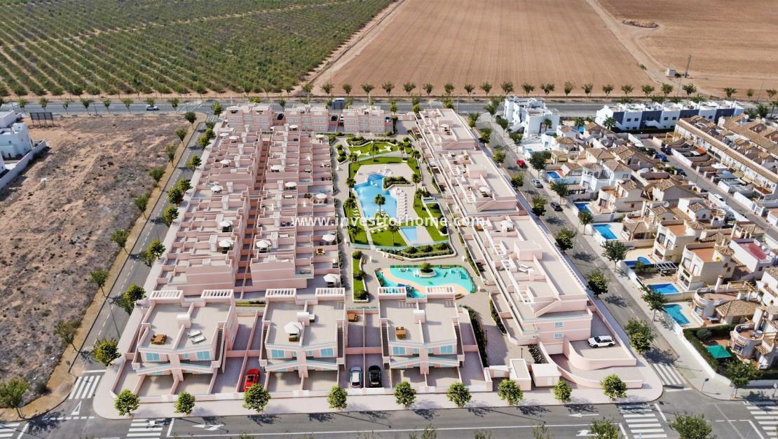 Nueva construcción - Casa - Pilar de la Horadada - Lo Monte