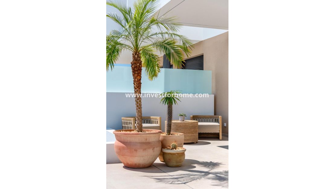 Nueva construcción - Chalet - Dolores - Sector 3