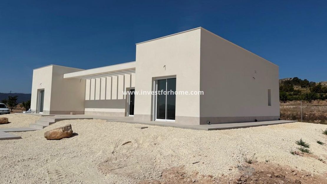 Nueva construcción - Chalet - Pinoso - Camino Del Prado