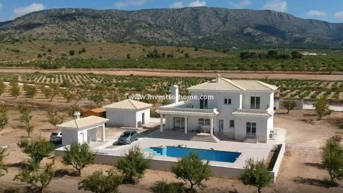 Nueva construcción - Chalet - Pinoso - Camino Del Prado