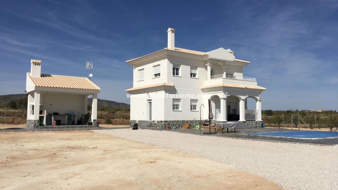Nueva construcción - Chalet - Pinoso - Camino Del Prado