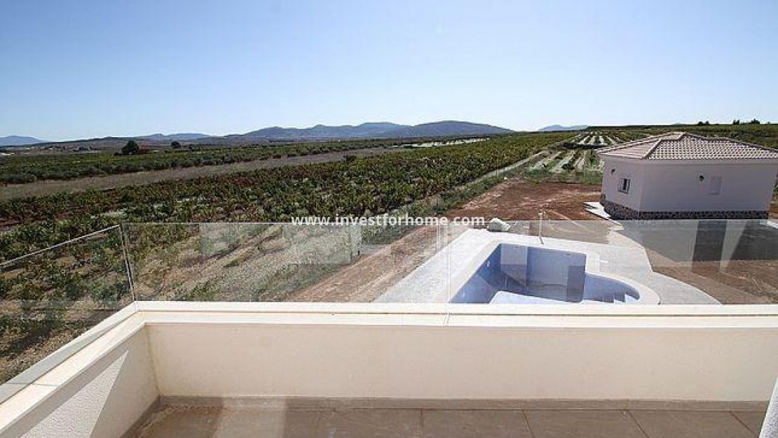 Nueva construcción - Chalet - Pinoso - Camino Del Prado