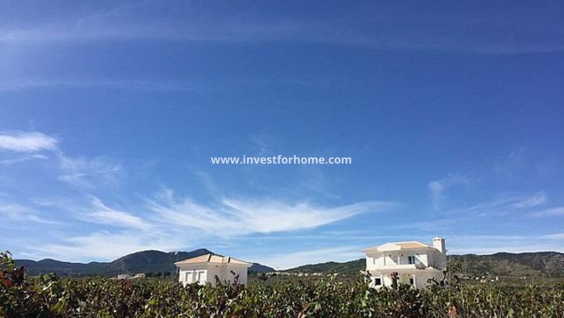 Nueva construcción - Chalet - Pinoso - Camino Del Prado