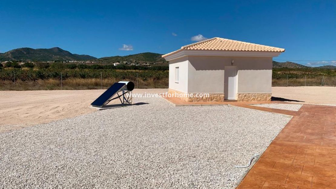 Nueva construcción - Chalet - Pinoso - Camino Del Prado
