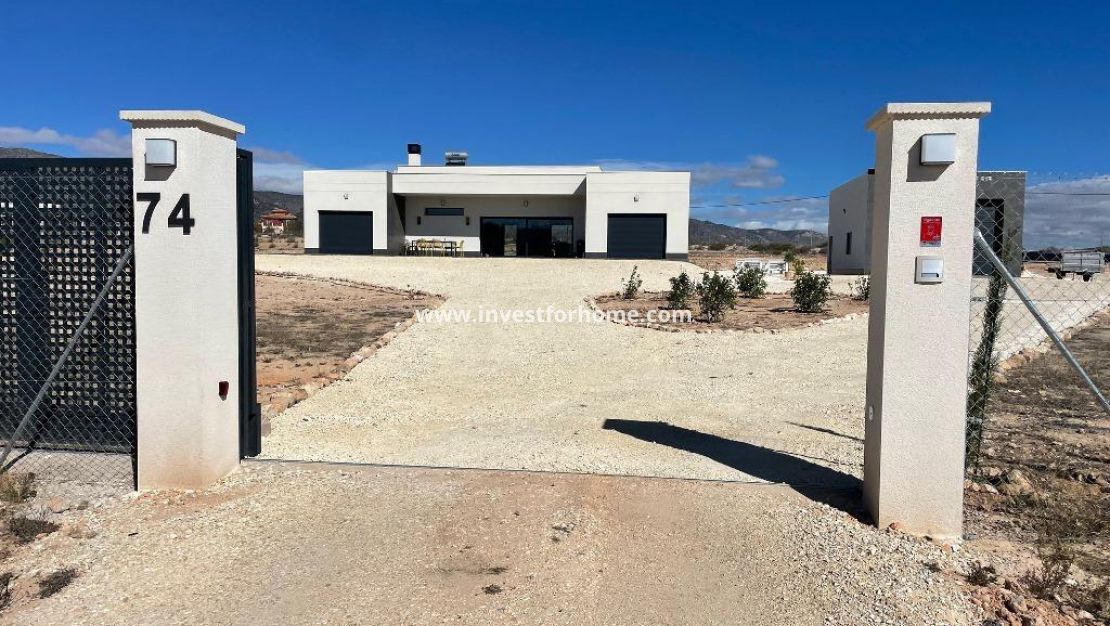 Nueva construcción - Chalet - Pinoso - Camino Del Prado