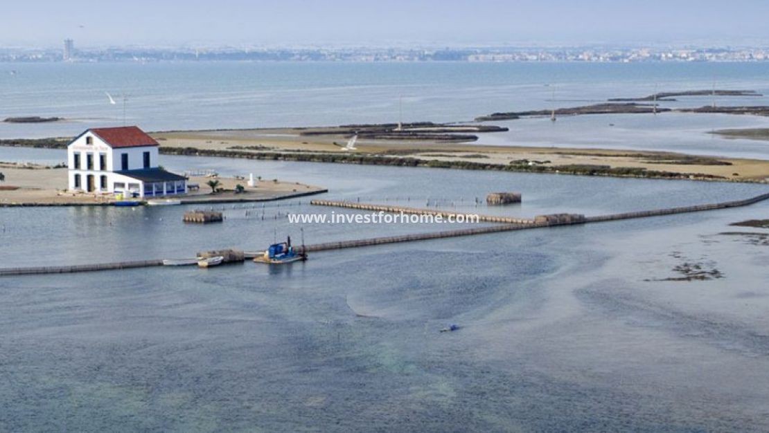 Nueva construcción - Chalet - San Pedro del Pinatar - El Salero